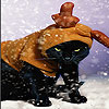 Black cat and snow slide …