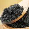 Black roe