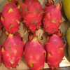 Jigsaw: Dragon Fruit