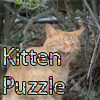 Kitten Puzzle